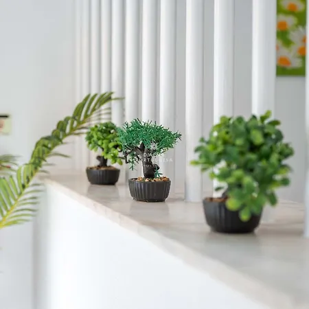 Apartment Downtown - By D'alma Portuguesa *